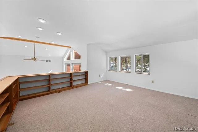 20202 Spring Creek Trail Pine, CO 80470