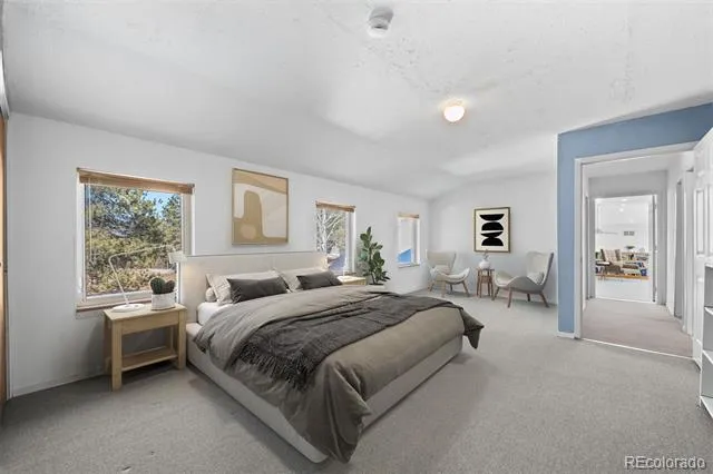 20202 Spring Creek Trail Pine, CO 80470