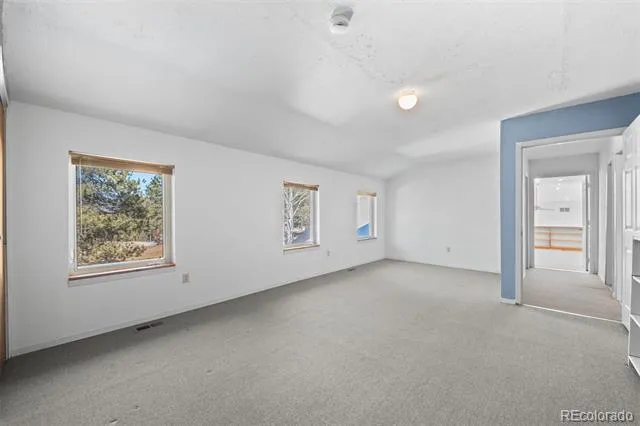 20202 Spring Creek Trail Pine, CO 80470