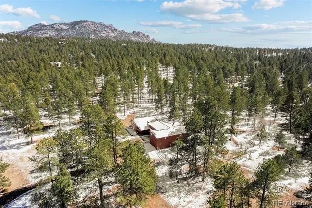 20202 Spring Creek Trail Pine, CO 80470