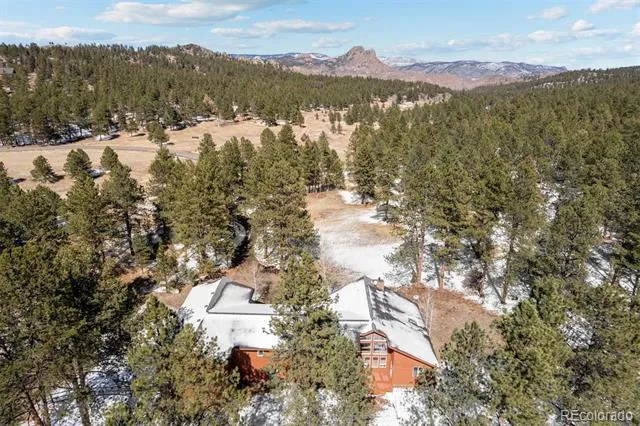 20202 Spring Creek Trail Pine, CO 80470