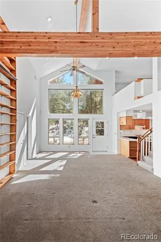 20202 Spring Creek Trail Pine, CO 80470