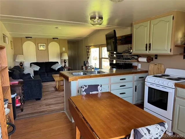 49903 County Road Ll56 Villa Grove, CO 81155