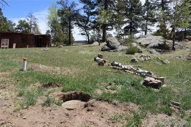 234 Panorama Drive Bailey, CO 80421