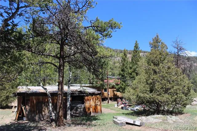 234 Panorama Drive Bailey, CO 80421