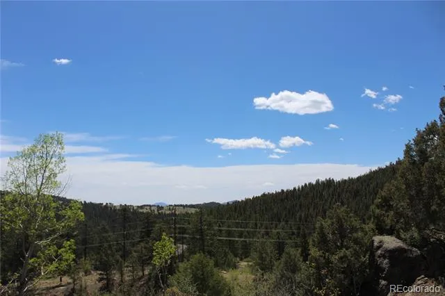 234 Panorama Drive Bailey, CO 80421
