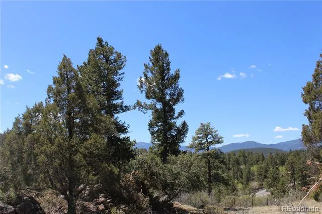 234 Panorama Drive Bailey, CO 80421
