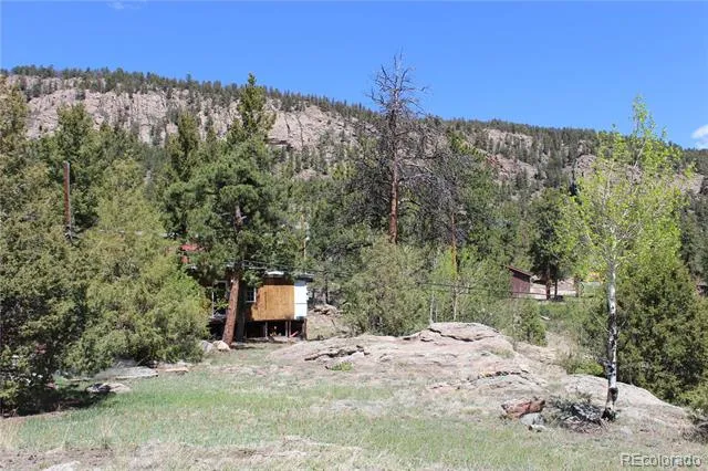 234 Panorama Drive Bailey, CO 80421
