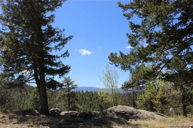 234 Panorama Drive Bailey, CO 80421