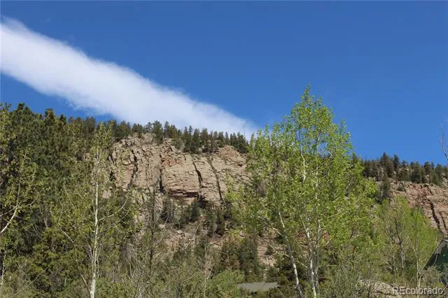 234 Panorama Drive Bailey, CO 80421