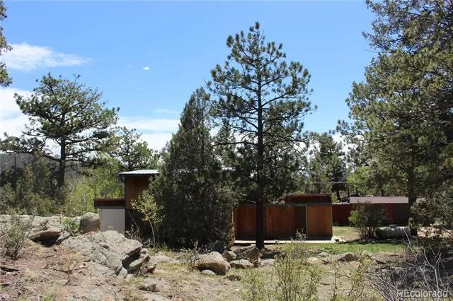 234 Panorama Drive Bailey, CO 80421