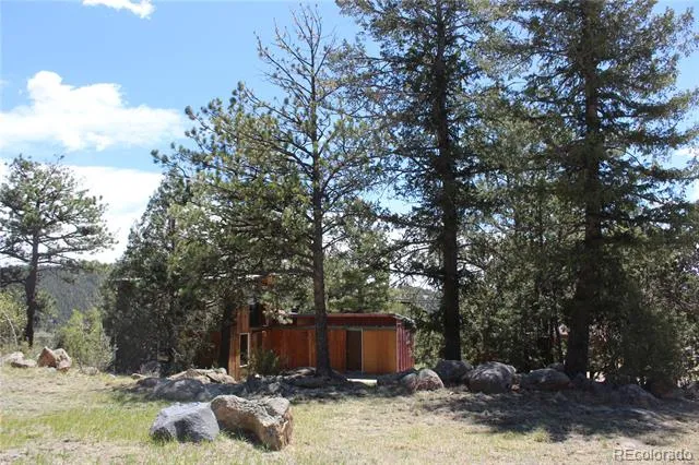 234 Panorama Drive Bailey, CO 80421