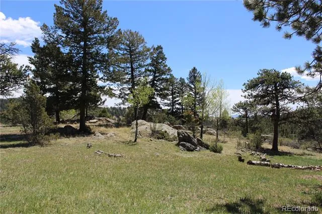 234 Panorama Drive Bailey, CO 80421