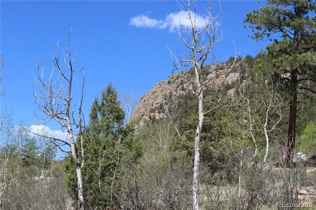 234 Panorama Drive Bailey, CO 80421