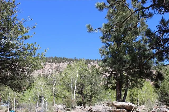 234 Panorama Drive Bailey, CO 80421