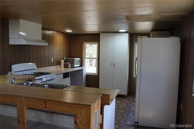 234 Panorama Drive Bailey, CO 80421