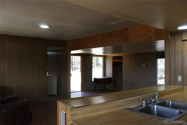 234 Panorama Drive Bailey, CO 80421