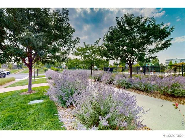 2866 Sand Beach Lake Drive Loveland, CO 80538