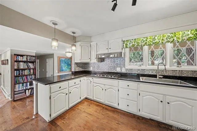 4976 Red Rock Drive Larkspur, CO 80118
