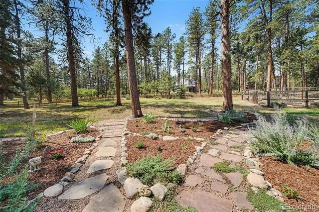 4976 Red Rock Drive Larkspur, CO 80118