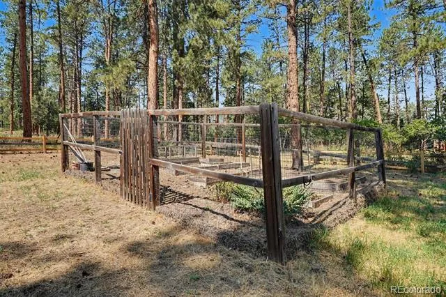 4976 Red Rock Drive Larkspur, CO 80118