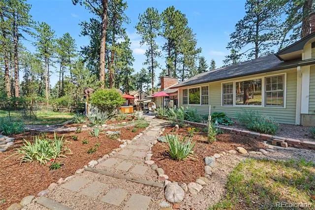 4976 Red Rock Drive Larkspur, CO 80118