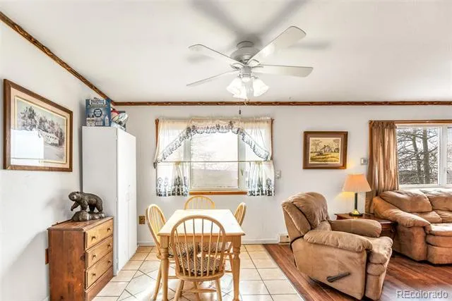 1150 Castello Avenue Fairplay, CO 80440