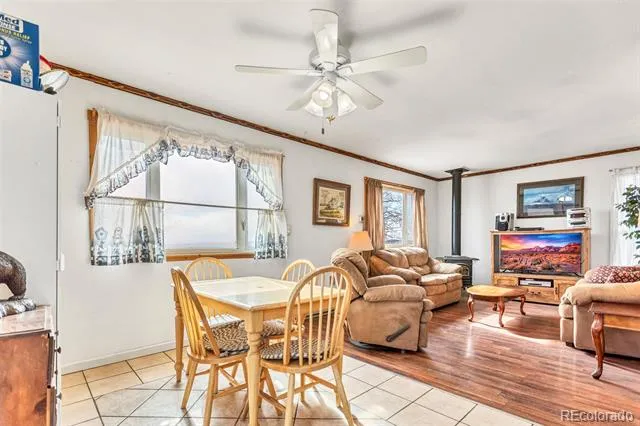 1150 Castello Avenue Fairplay, CO 80440