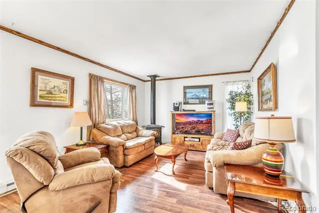 1150 Castello Avenue Fairplay, CO 80440