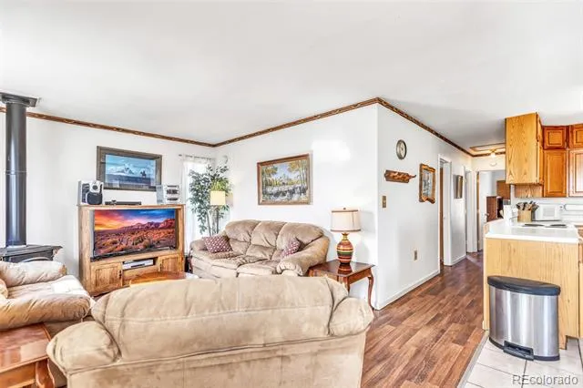 1150 Castello Avenue Fairplay, CO 80440