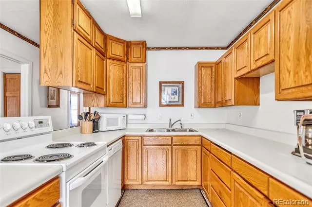1150 Castello Avenue Fairplay, CO 80440