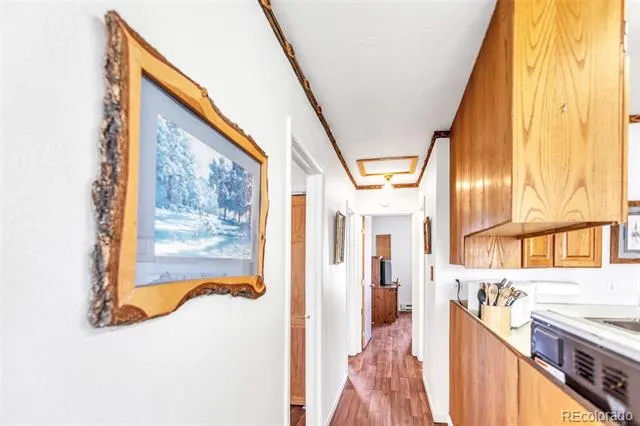 1150 Castello Avenue Fairplay, CO 80440