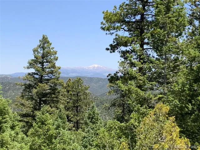 000 Peak View Ridge Canon City, CO 81212