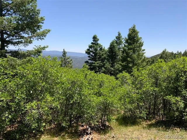 000 Peak View Ridge Canon City, CO 81212