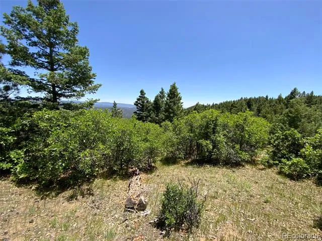 000 Peak View Ridge Canon City, CO 81212