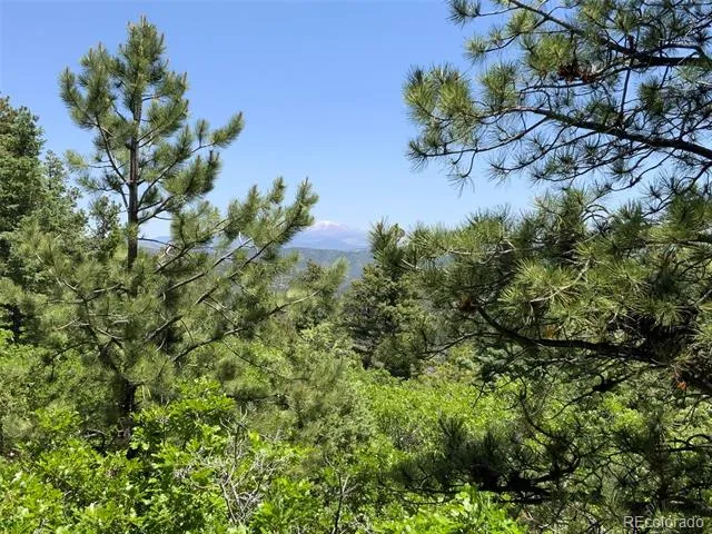 000 Peak View Ridge Canon City, CO 81212