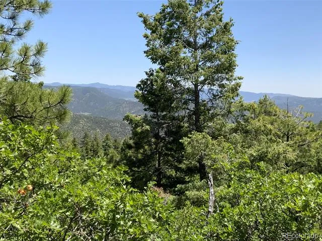 000 Peak View Ridge Canon City, CO 81212