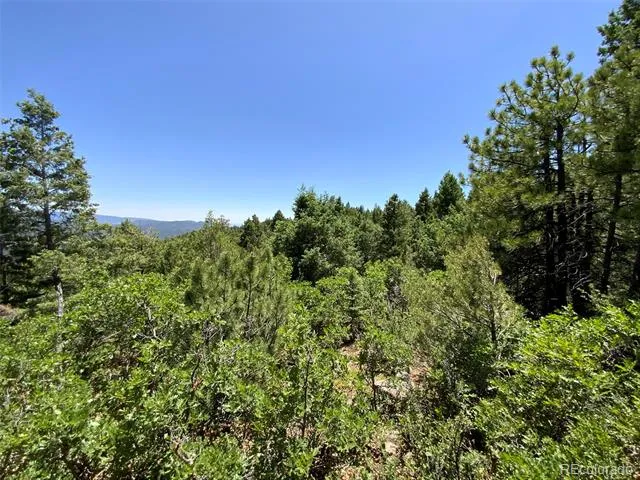 000 Peak View Ridge Canon City, CO 81212