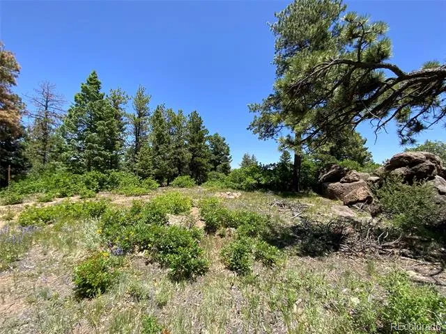 000 Peak View Ridge Canon City, CO 81212
