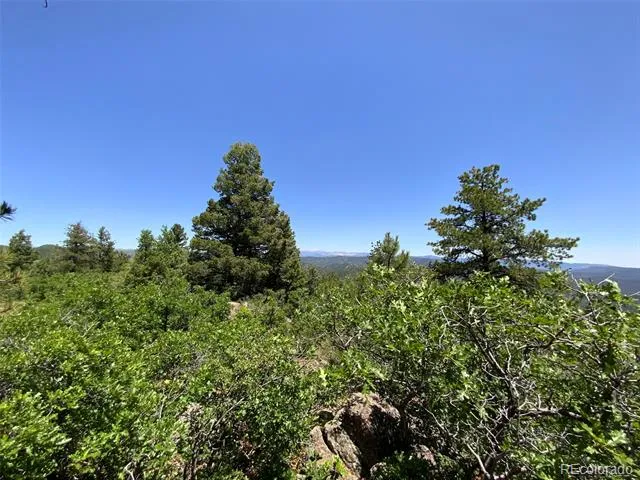 000 Peak View Ridge Canon City, CO 81212