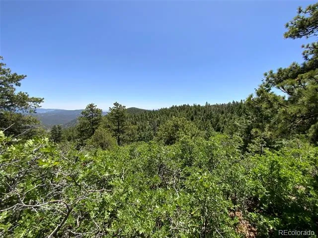 000 Peak View Ridge Canon City, CO 81212