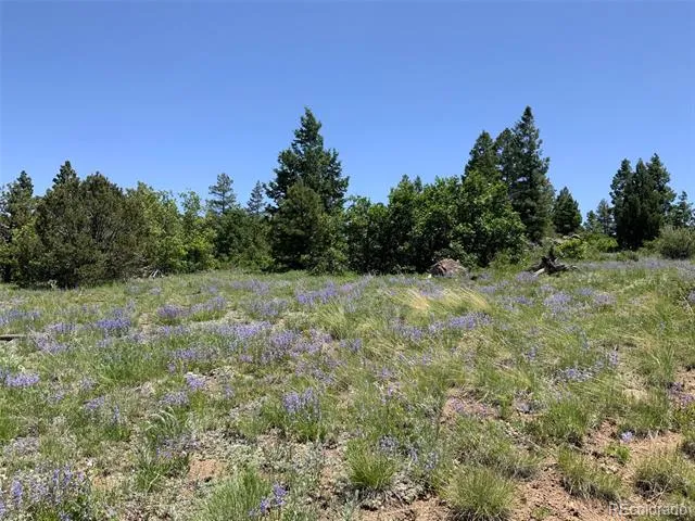 000 Peak View Ridge Canon City, CO 81212
