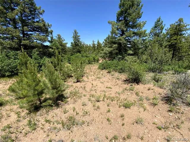 000 Peak View Ridge Canon City, CO 81212