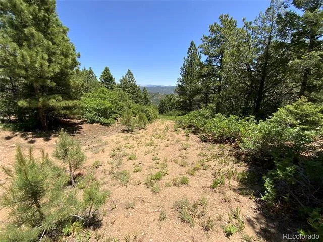 000 Peak View Ridge Canon City, CO 81212