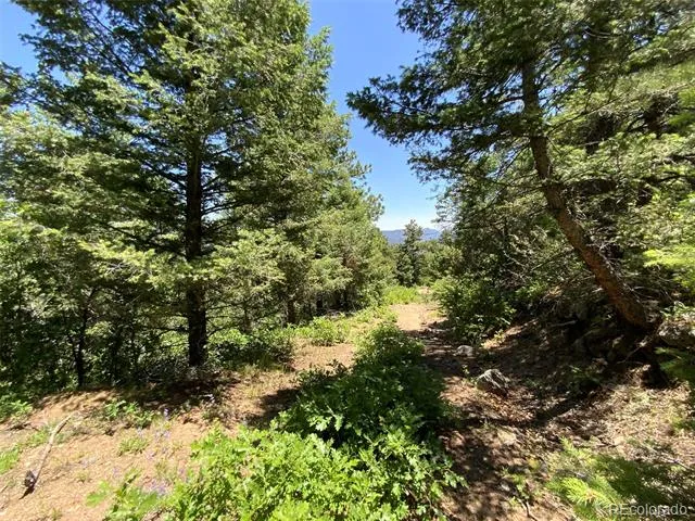 000 Peak View Ridge Canon City, CO 81212