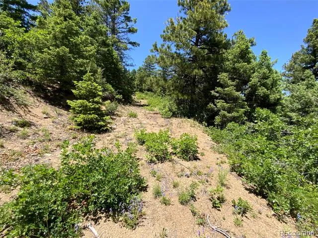 000 Peak View Ridge Canon City, CO 81212