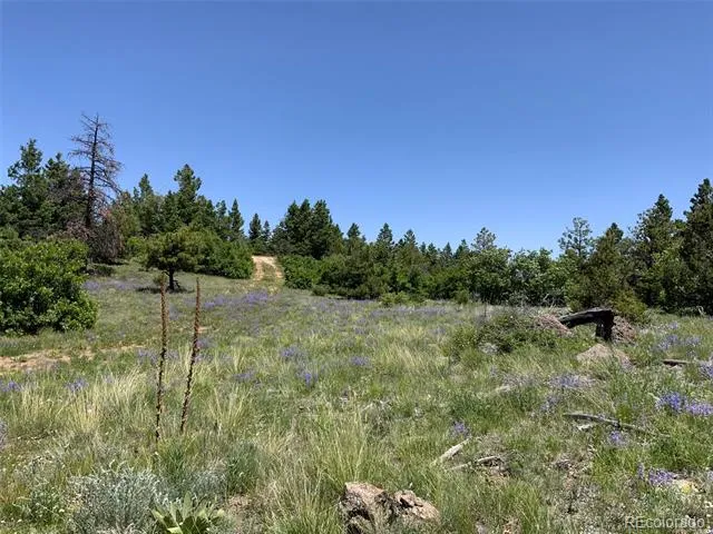 000 Peak View Ridge Canon City, CO 81212