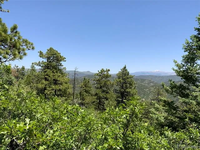 000 Peak View Ridge Canon City, CO 81212