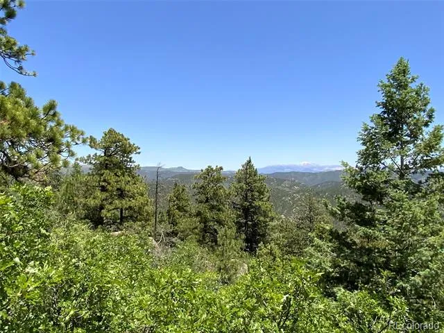 000 Peak View Ridge Canon City, CO 81212