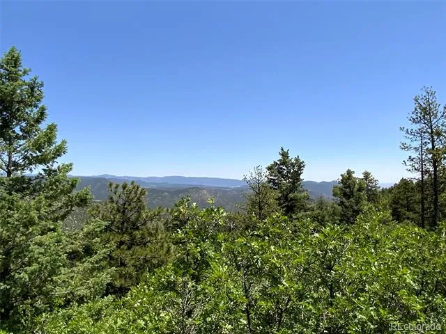 000 Peak View Ridge Canon City, CO 81212